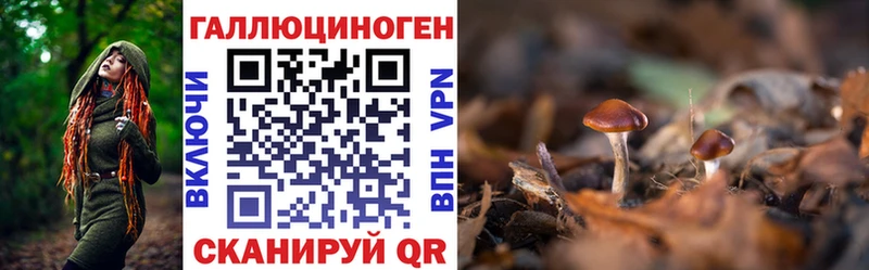 Псилоцибиновые грибы Cubensis  Никольское 